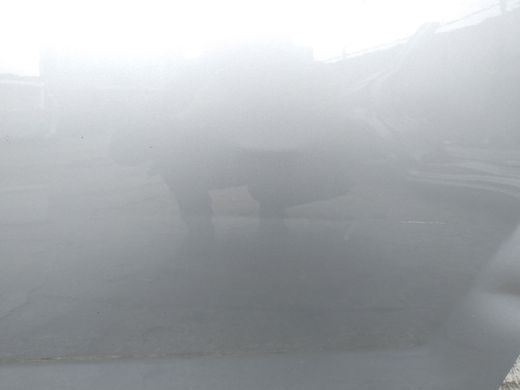 Двері задня ліва гола срібляста 8PSC деф 4 дв універсал Ford Mondeo '07-'10